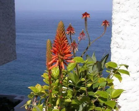 Bellavista Mar *